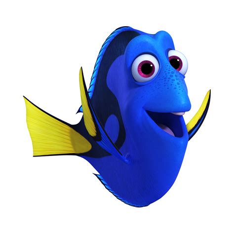 Dory and tge blue witcg